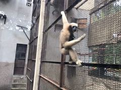 -昆明动物园
