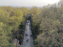 -灵谷景区