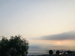 -合肥滨湖国家森林公园