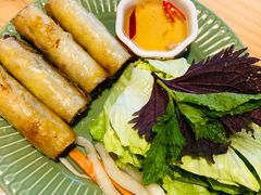 越南传统春卷-越美小馆·越南料理(曲江店)