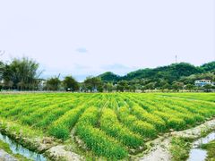 -红山村