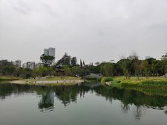 -四海公园(南山区)