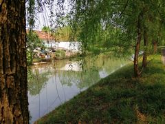 -广富林郊野公园