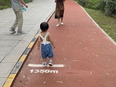 -南翠屏公园