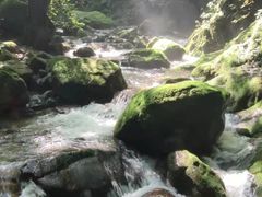 -牛背梁国家森林公园