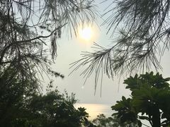 -东澳岛