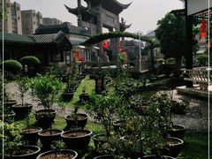 -陈白沙纪念馆