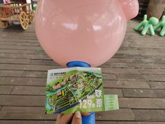 -田园东方蜜桃村的田野营地