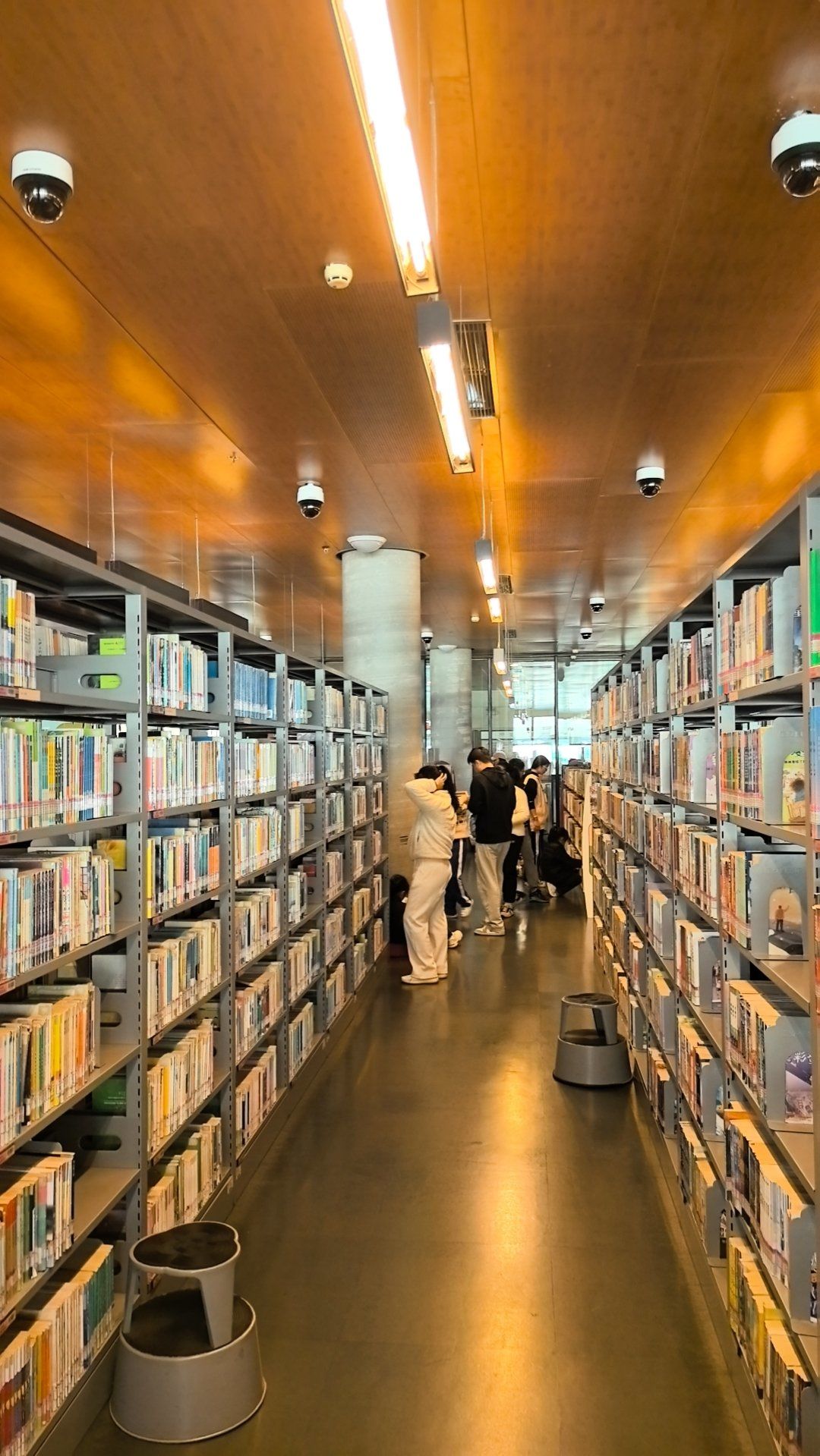 在图书馆发现新天地