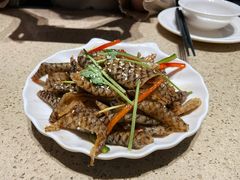 凉拌鱼皮-满得意茶餐厅·顺德家常菜·港式经典(大良店)