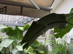 -漫笙舍Manse·咖啡·民宿
