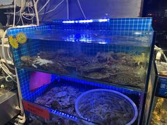 -77号渔船·蒸海鲜青岛菜(积米崖店)