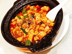 -陈麻婆豆腐总店