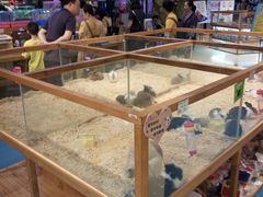-龟与熊猫宠物公园(南坪店)