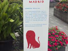 -思南书局(复兴中路店)