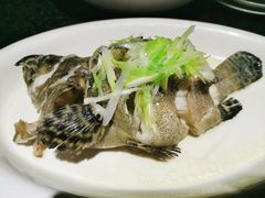 清蒸老虎斑-徐记海鲜(明德门店)