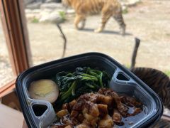 -上海野生动物园老虎餐厅