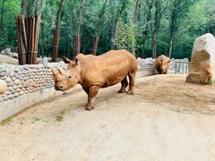 -北京野生动物园