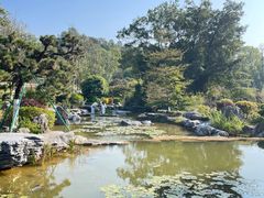 -东莞植物园