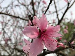 -白鹭湾湿地公园