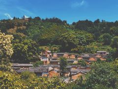 -杨家堂村