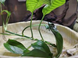 -Zoolung Zoolung动物主题公园(海信广场店)