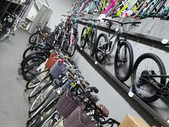 -道路口单车爱瓦士dahon大行