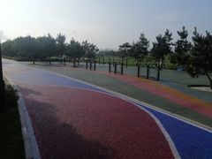 -羊亭河湿地公园