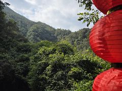 -九鲤湖风景区