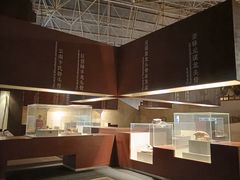 -世界恐龙谷景区