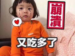 -丽莎蓓甜CAKE生日蛋糕·动物奶油(石家庄店)