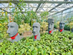 -南宫五洲植物乐园