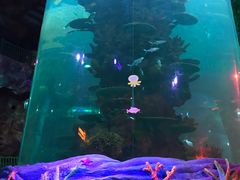 -青岛嘉年华主题乐园