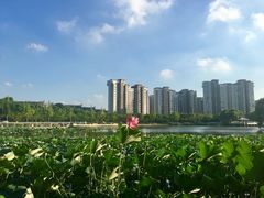 -新江湾城公园