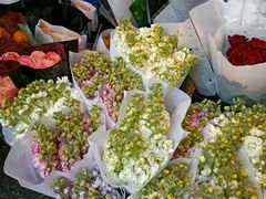 -循礼门鲜花花市(武汉循礼门店)