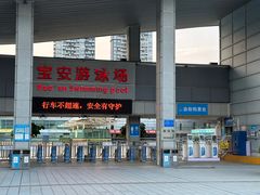 -宝安体育馆游泳馆