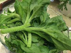 -一叶一世界•素食餐厅(环球中心店)