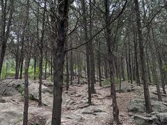 -云龙山
