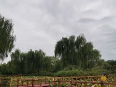 -燕郊植物园