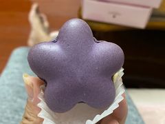 -贵阳高新惠诚食品有限公司