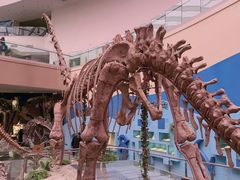 -陕西自然博物馆