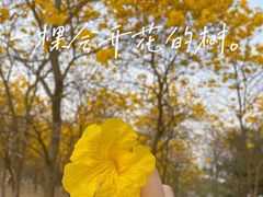 -松山湖风景区松湖烟雨