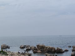 -养马岛旅游度假区