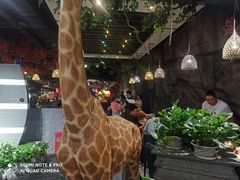 -南美豹国际自助百汇(万象城店)