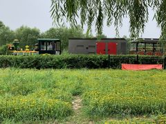 -西青郊野公园