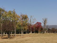 -钟山体育运动公园