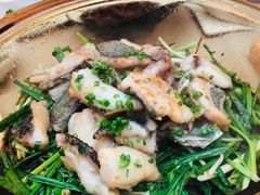 香葱焗石斑鱼-尚一汤·粤菜海鲜(环球港店)