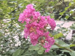 -杭州黄龙洞