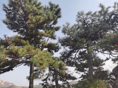 -天津盘山风景名胜区