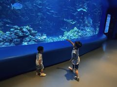 -欢乐海岸海洋奇梦馆
